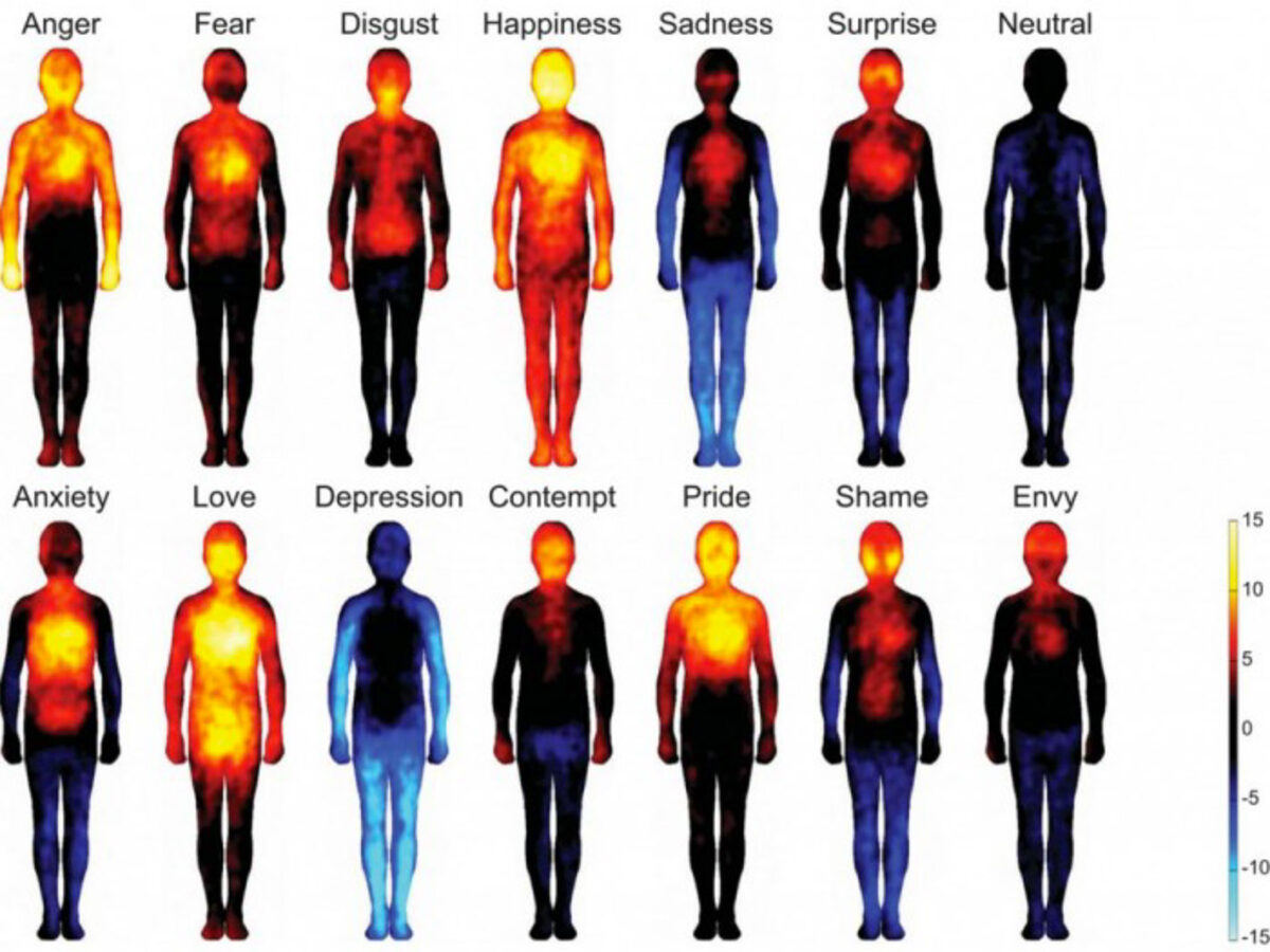 Come le emozioni negative influiscono sul corpo | Lo studio