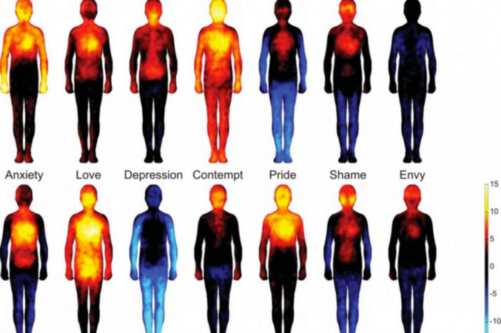 Come le emozioni negative influiscono sul corpo | Lo studio