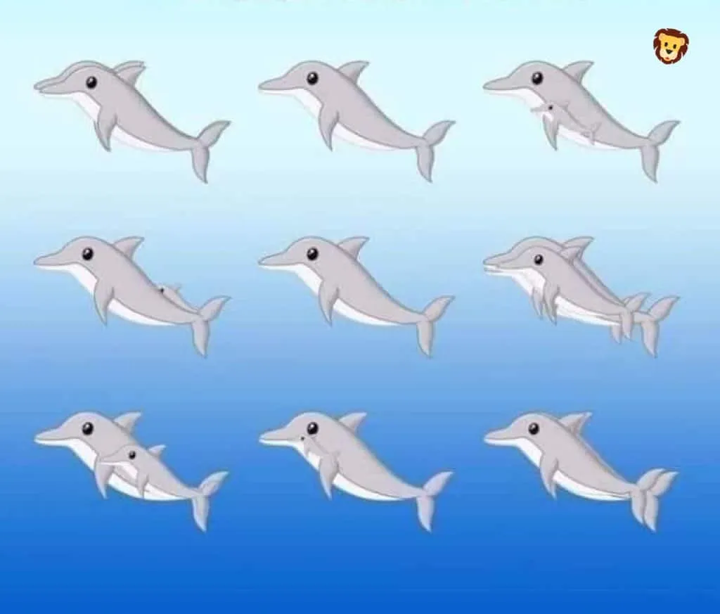 Rompicapo che sembra facile ma non lo è. Troverai tutti i delfini?