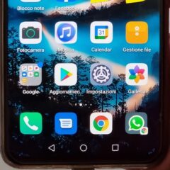 Utilizzare un account Whatsapp su un altro smartphone? Prova questo trucco