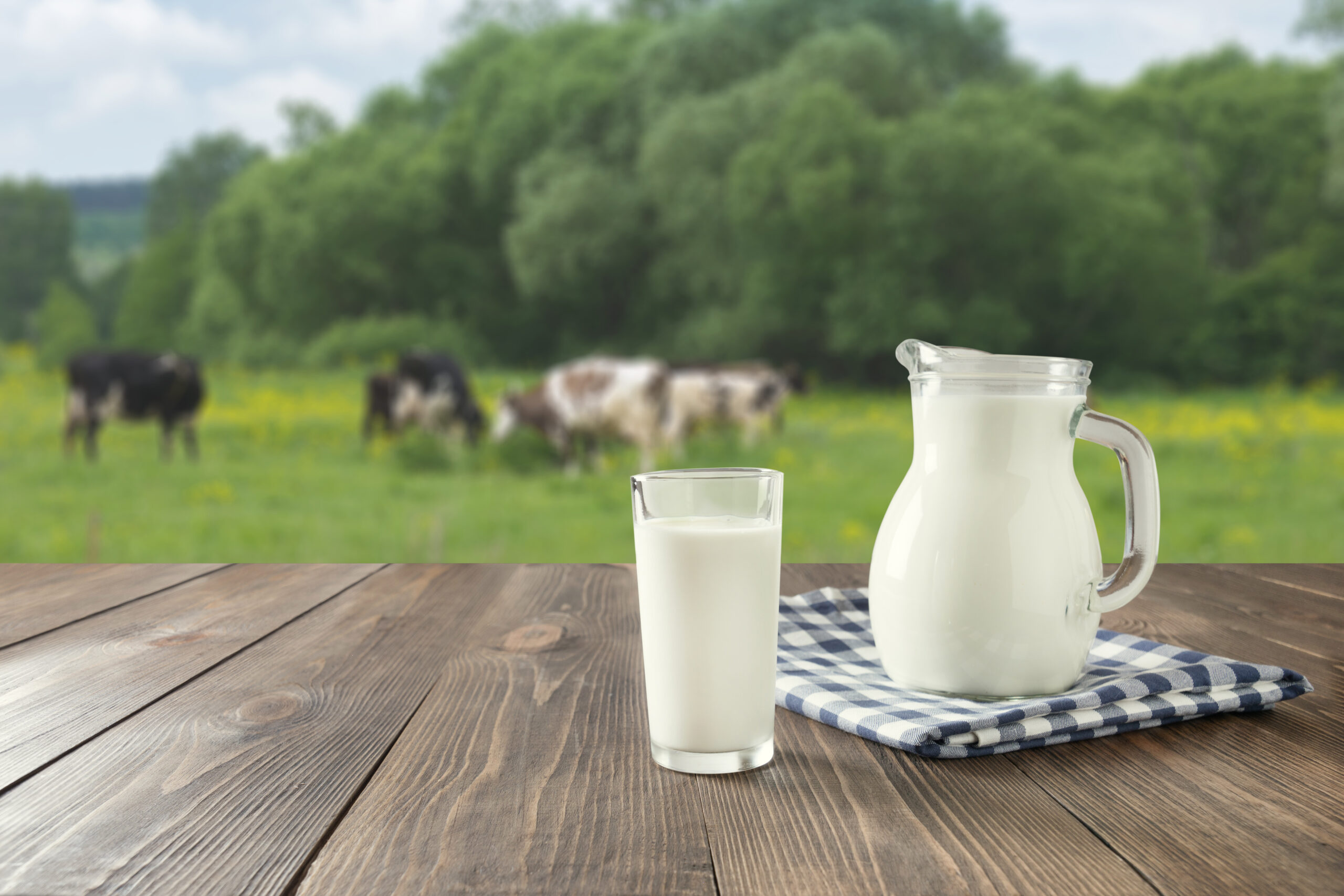 Consumi latte in abbondanza? Curiosità e informazioni che dovresti sapere