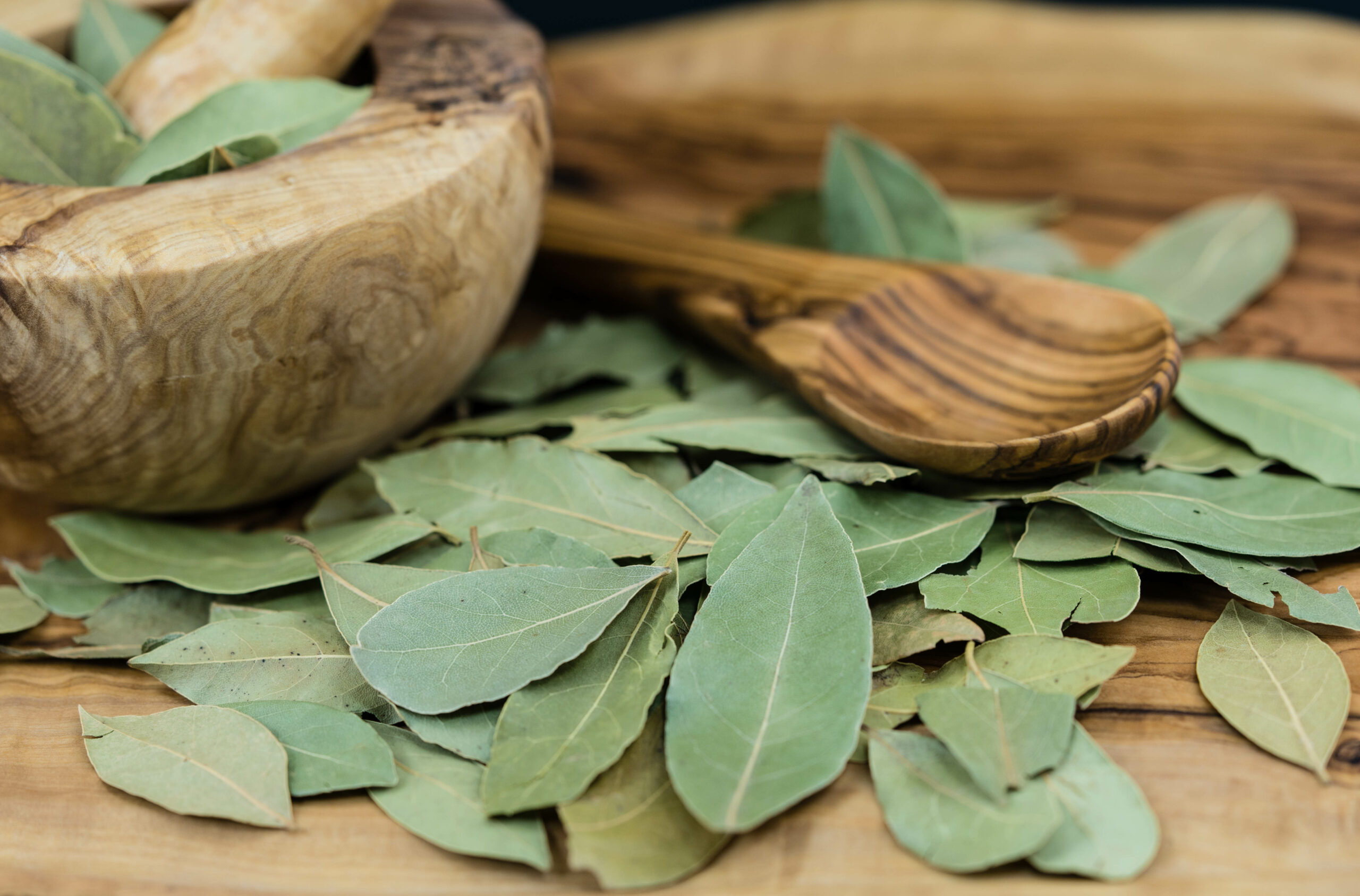 Masticare foglie d'alloro: i benefici che non ti aspetti