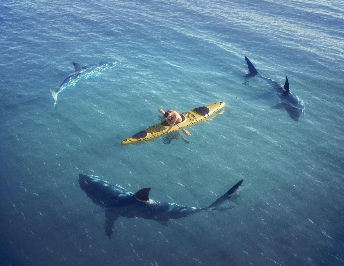 Gli squali ci attaccano perché per loro assomigliamo a delle foche