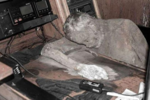 Lo strano episodio del marinaio trovato mummificato sulla sua imbarcazione
