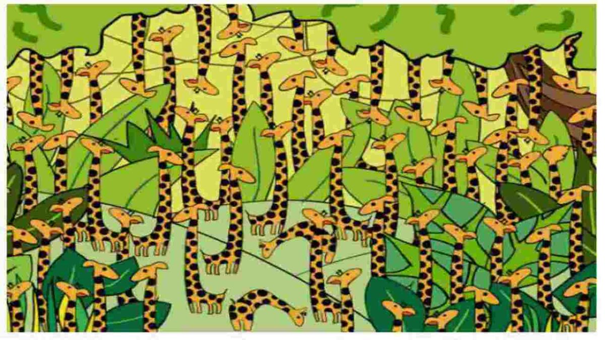 Rompicapo visivo: riuscirai a trovare il serpente tra le giraffe?