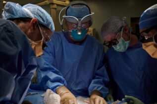 Trapiantato con successo il primo cuore di maiale modificato geneticamente