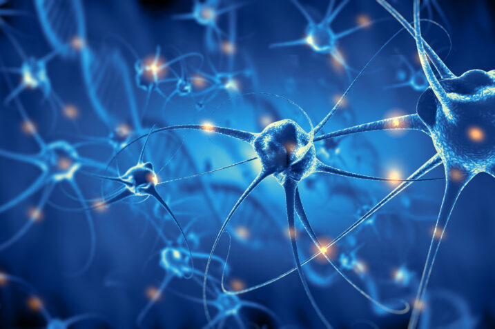 Passo avanti della scienza: come neuroni sintetici possono controllare una pianta