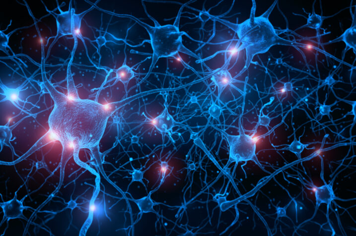 Mild Cognitive Impairment: perché iniziamo a dimenticarci i nomi e le cose?