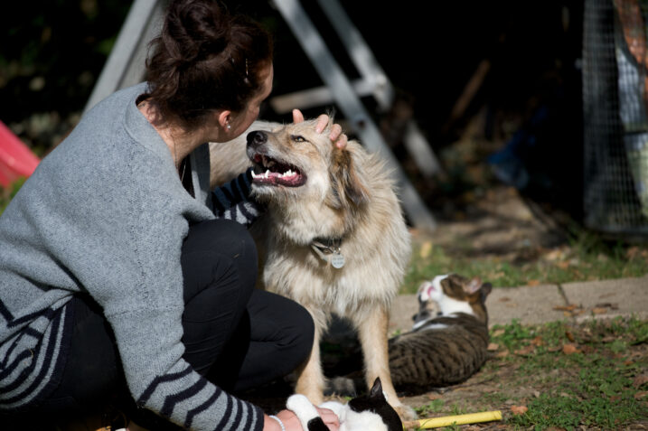 Perché molte delle cose che mangiamo non vanno bene per gli animali domestici