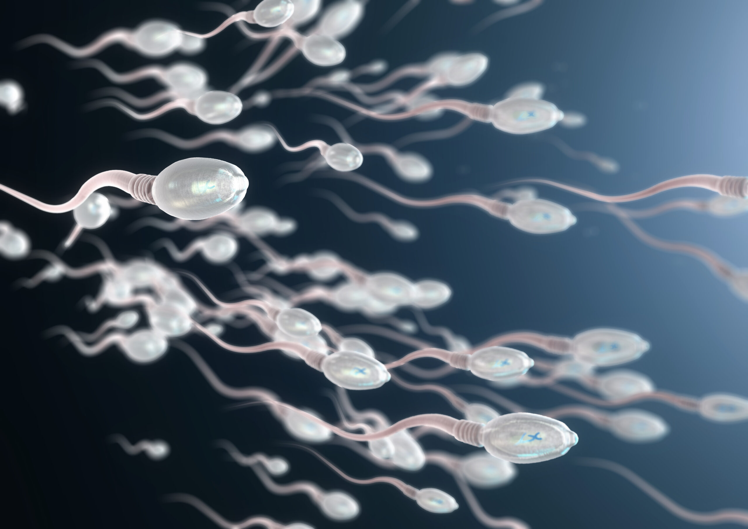 L’inquinamento può influire sulla qualità degli spermatozoi? Cosa dice questo studio