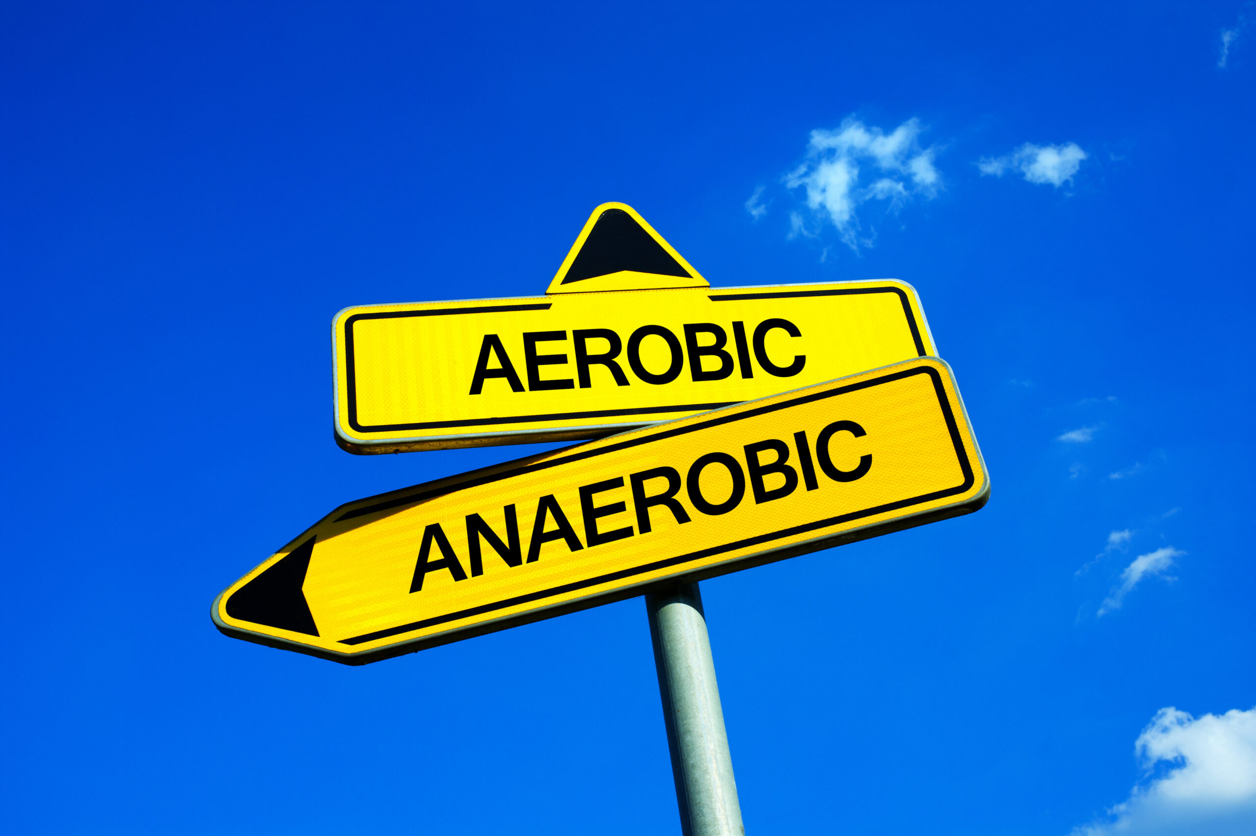 Allenamento anaerobico o aerobico per dimagrire? Rimarrai sorpreso