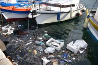 Creato in laboratorio enzima che "mangia" materiale plastico in un giorno