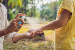 I migliori principi attivi contenuti nei repellenti anti-zanzare