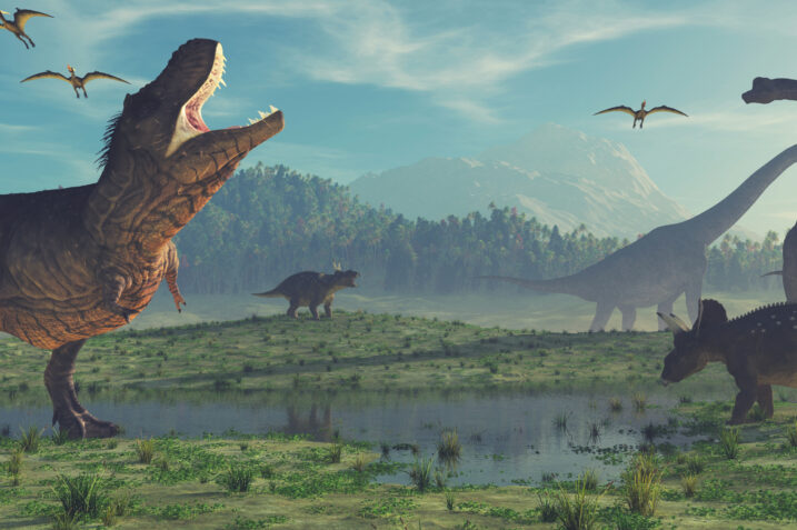 Scienza: i dinosauri erano animali a sangue freddo? Lo studio