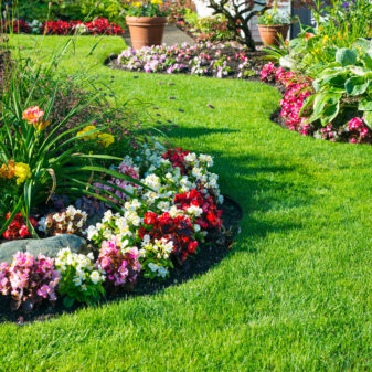 Bonus per giardini e aree verdi 2023: occhio a questo requisito