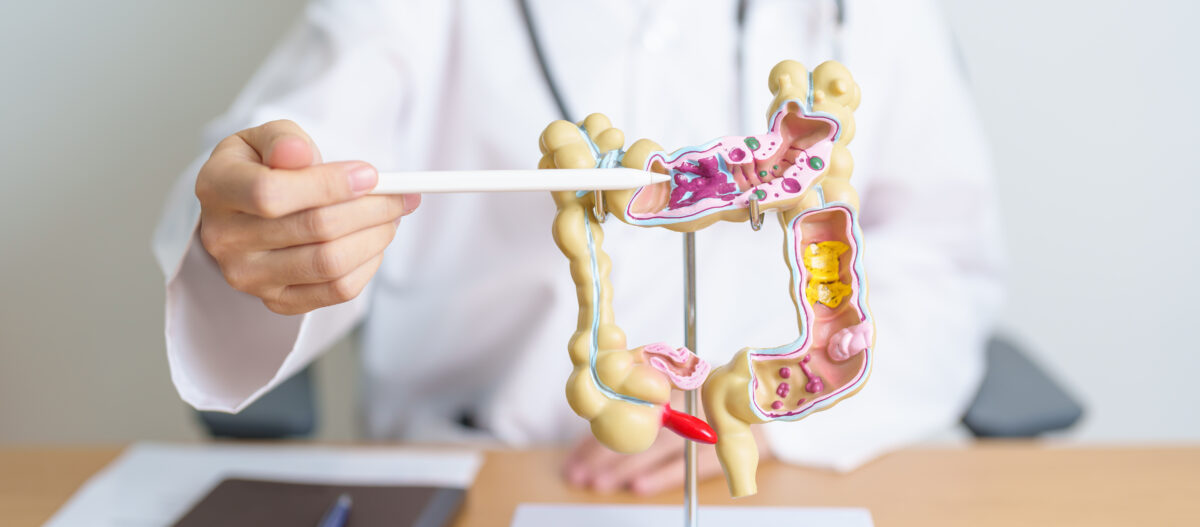 Quanto tempo occorre per digerire i cibi? Ecco cosa lo determina