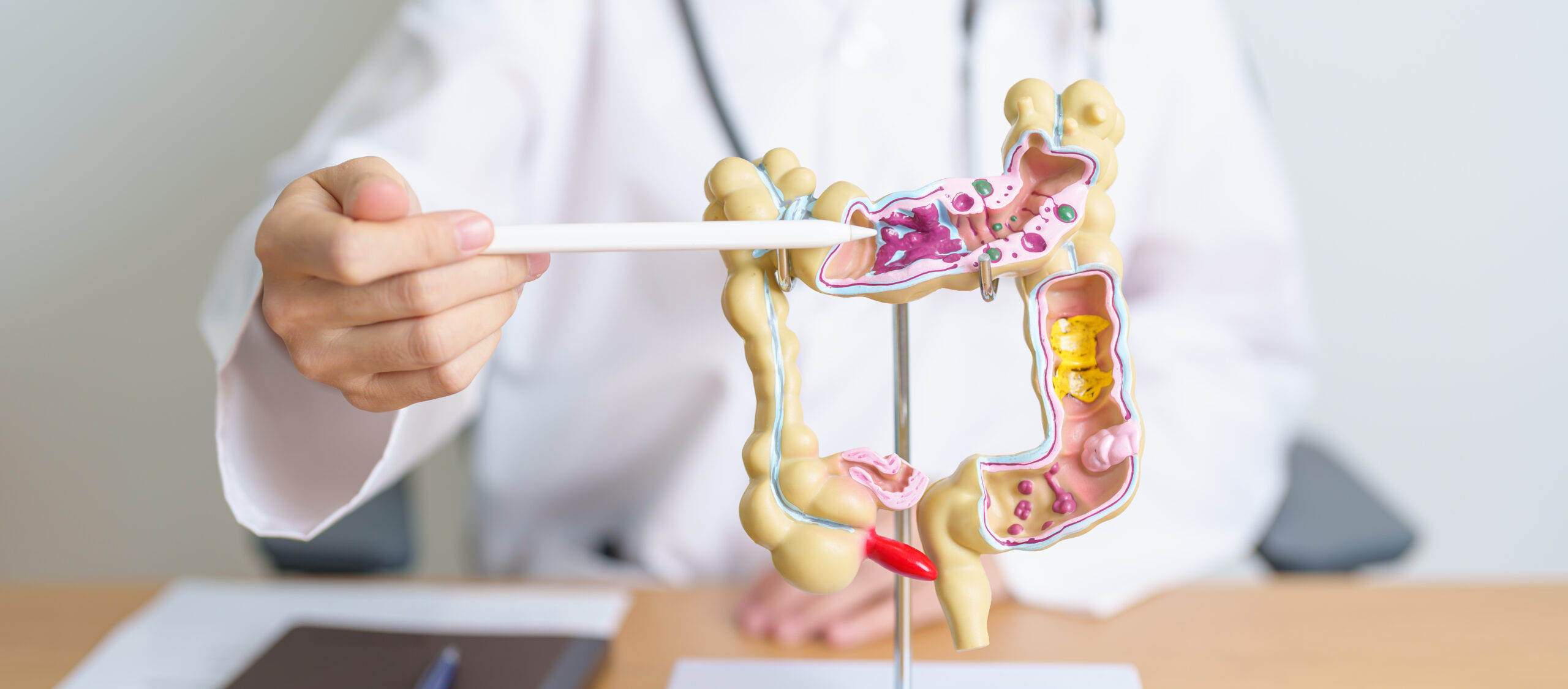 Quanto tempo occorre per digerire i cibi? Ecco cosa lo determina