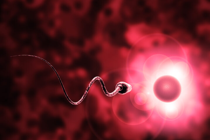 Fertilità maschile: ecco i benefici che apporta la dieta mediterranea secondo questi studi